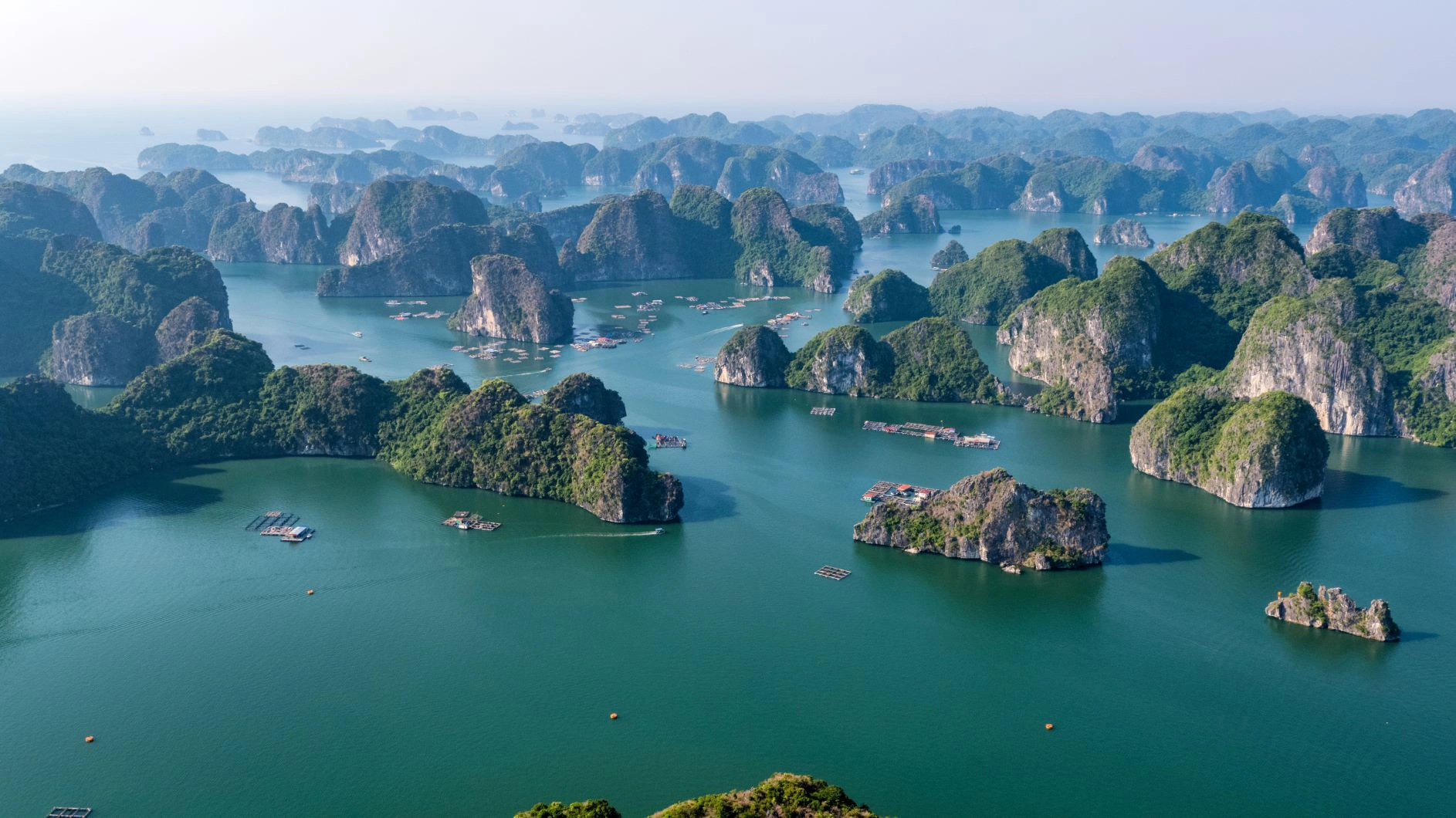 2D1N & 3D2N | Relaxing in Indochine Overnight Cruise in Lan Ha Bay | Hạ Long